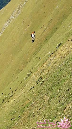 .:آلبوم عکسهای خودگرفته ما:.